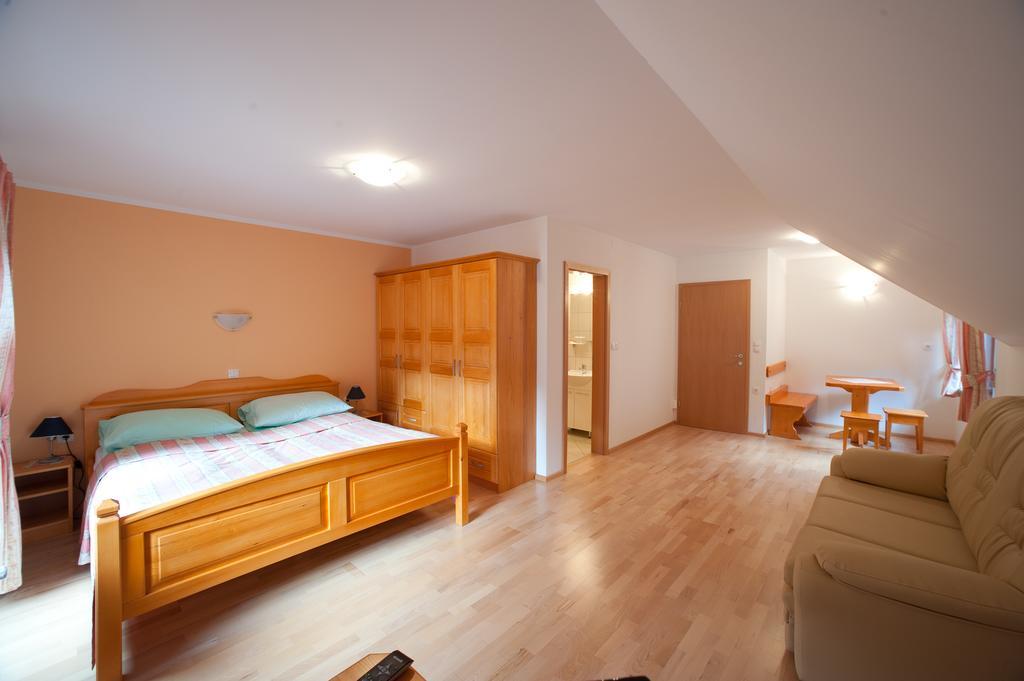 Apartmán Prenocisca Valentina Solčava Pokoj fotografie